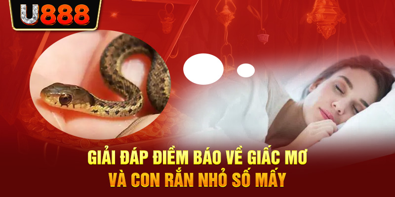 Con Rắn Nhỏ Số Mấy