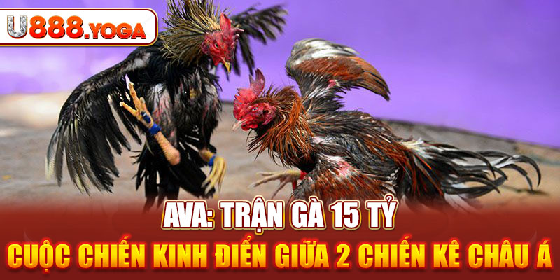 Trận Gà 15 Tỷ