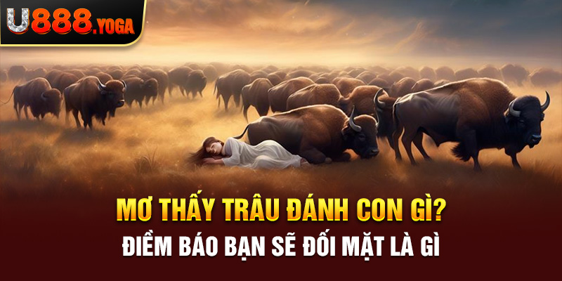 Mơ Thấy Trâu Đánh Con Gì